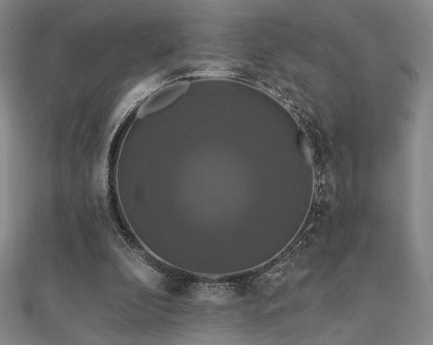 X0000110700296200906121339