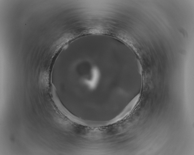 X0000110700297200906121339