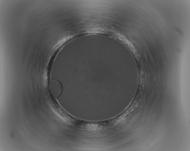 X0000110700298200906121339