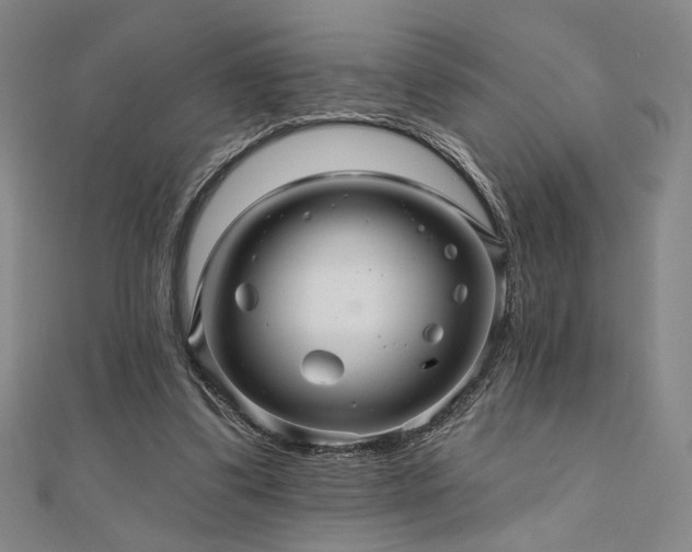 X0000110700299200906121339