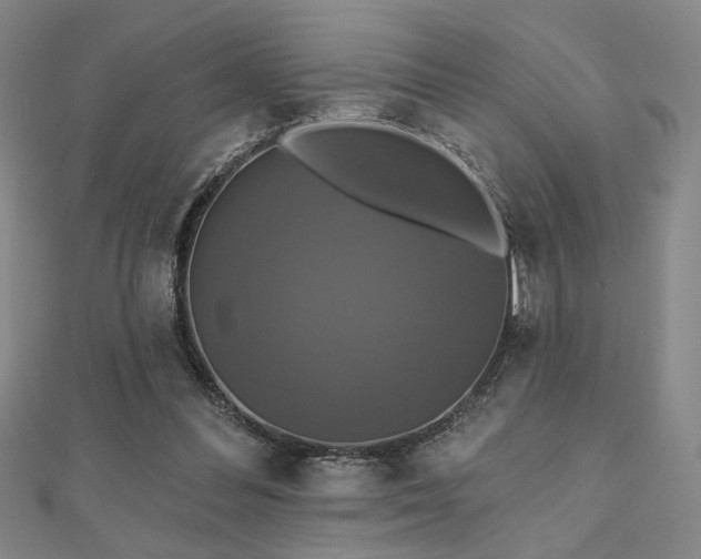 X0000110700300200906121339