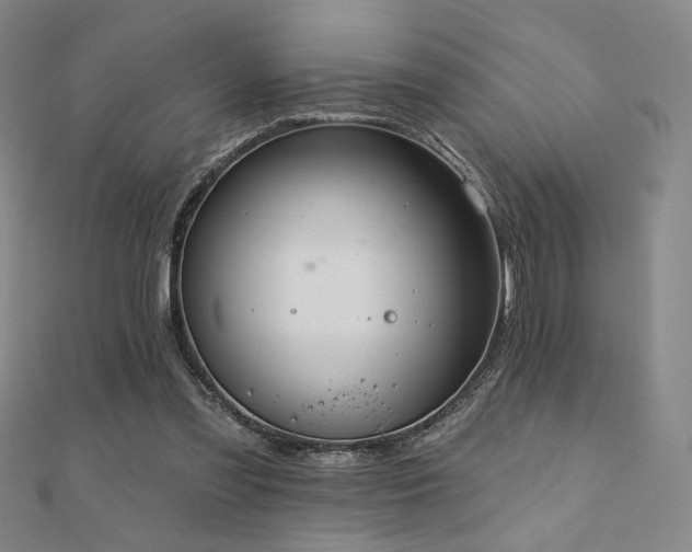X0000110700301200906121339