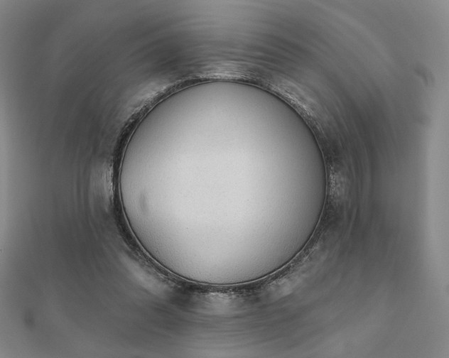 X0000110700302200906121339