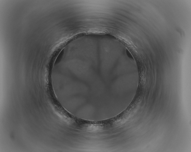 X0000110700303200906121339