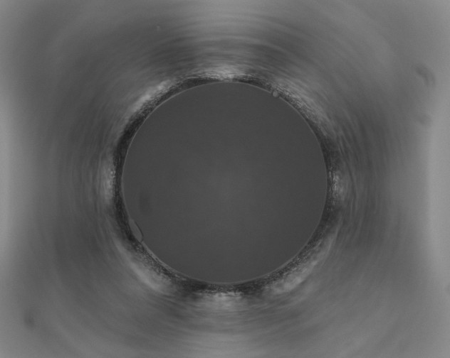 X0000110700304200906121339