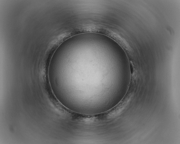 X0000110700306200906121339