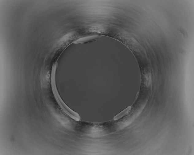 X0000110700308200906121339