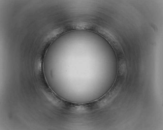 X0000110700310200906121339