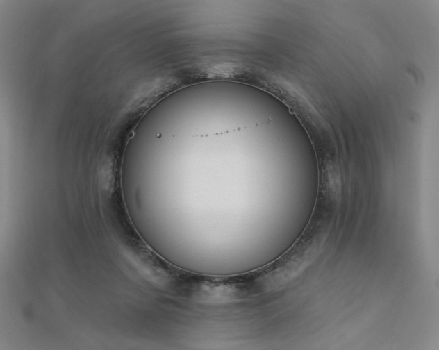 X0000110700311200906121339