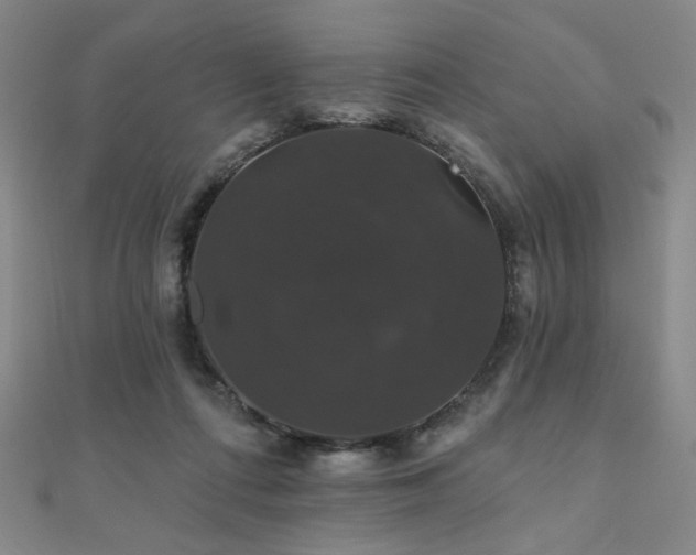 X0000110700312200906121339
