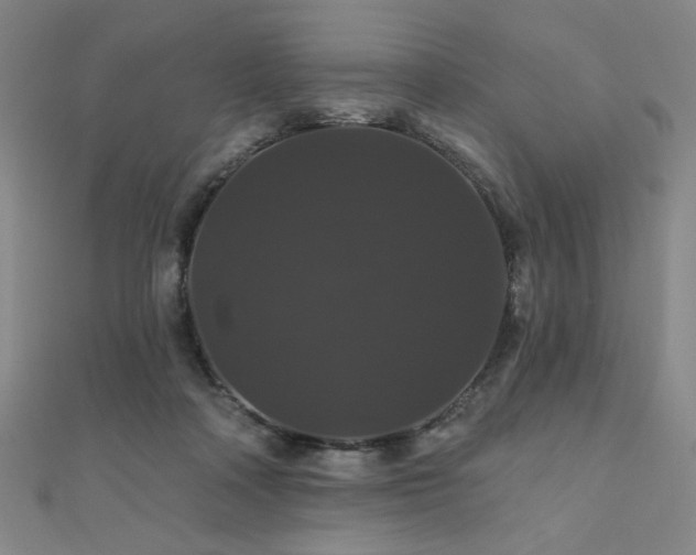 X0000110700314200906121339