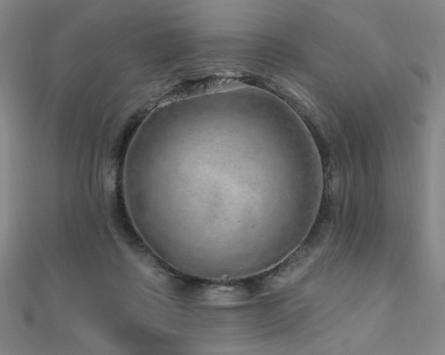 X0000110700315200906121339