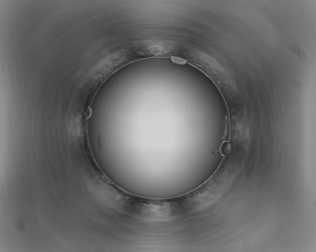 X0000110700317200906121339