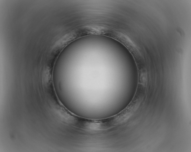 X0000110700318200906121339