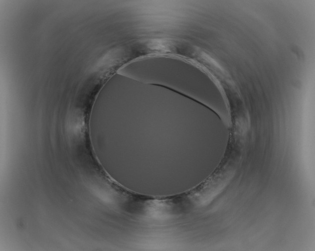 X0000110700320200906121339