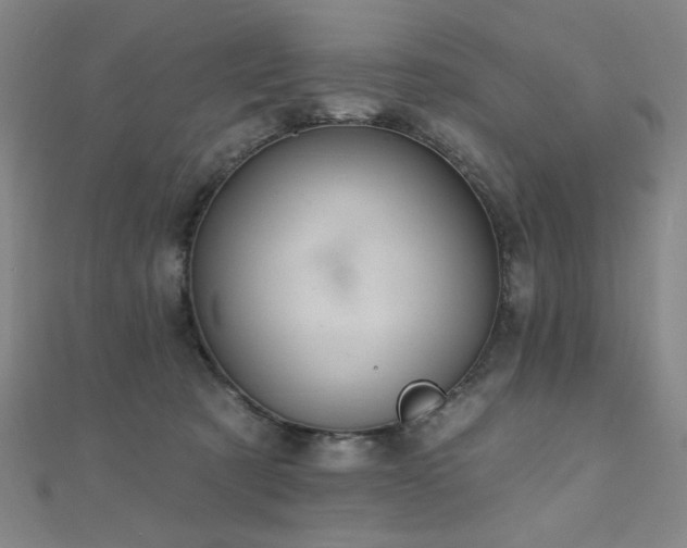 X0000110700321200906121339
