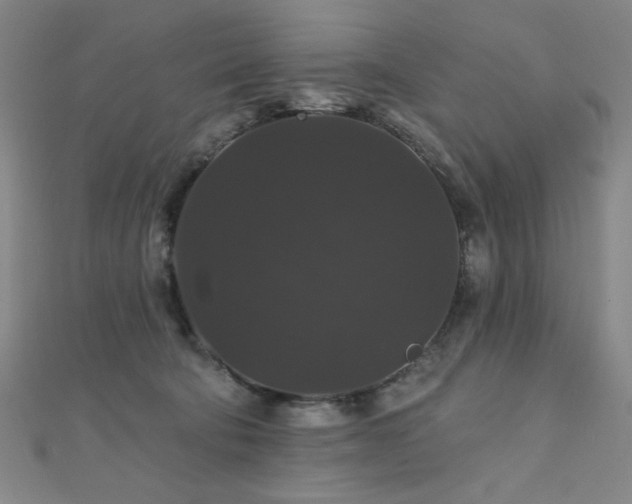 X0000110700322200906121339