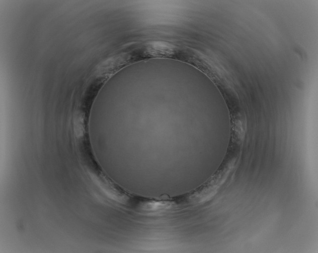 X0000110700323200906121339