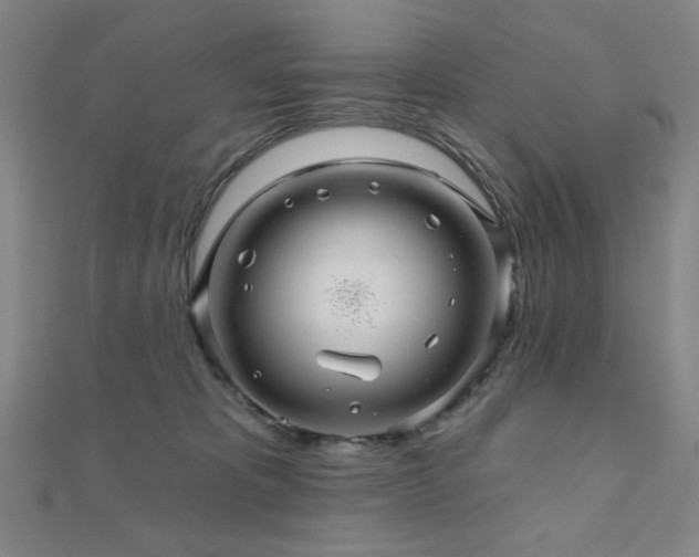 X0000110700325200906121339