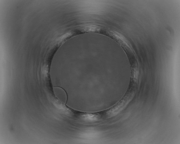 X0000110700326200906121339