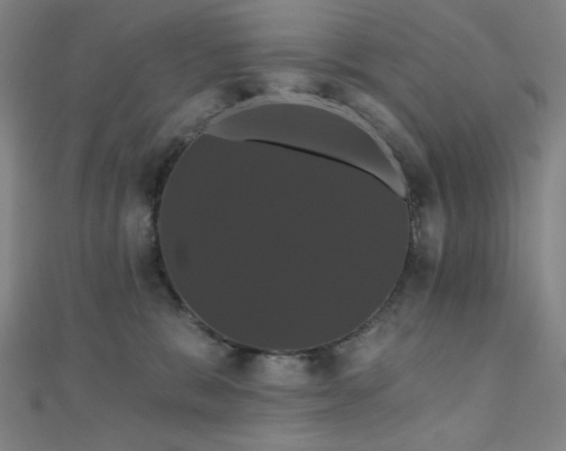 X0000110700327200906121339