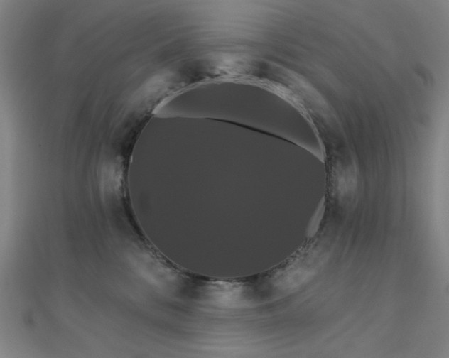 X0000110700328200906121339