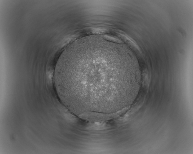 X0000110700329200906121339