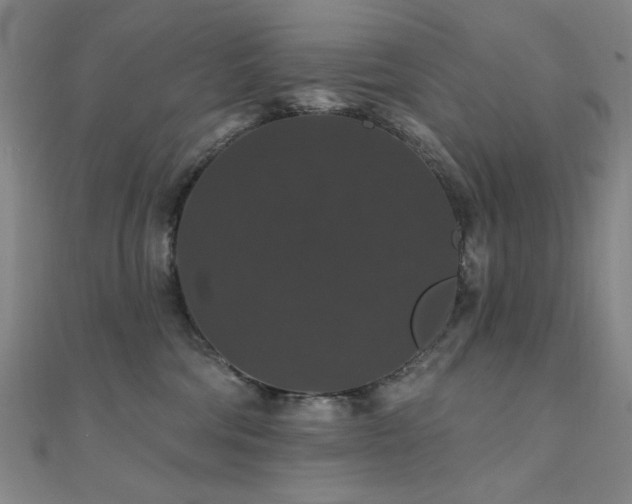 X0000110700330200906121339