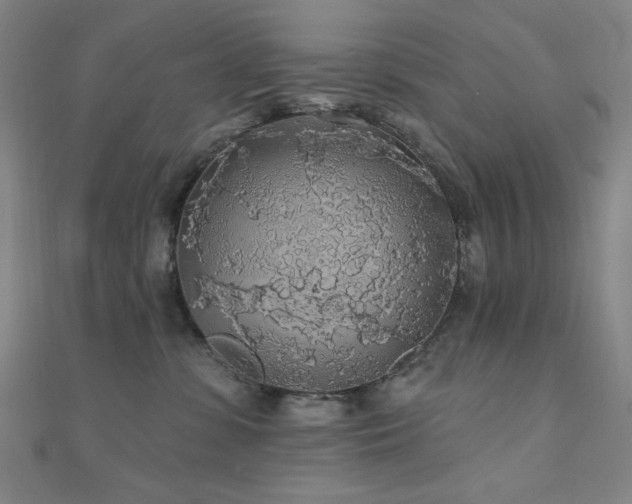 X0000110700331200906121339