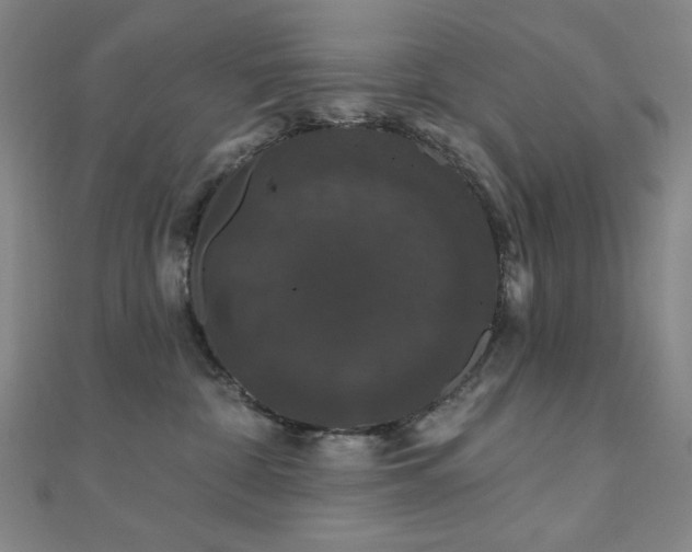 X0000110700332200906121339