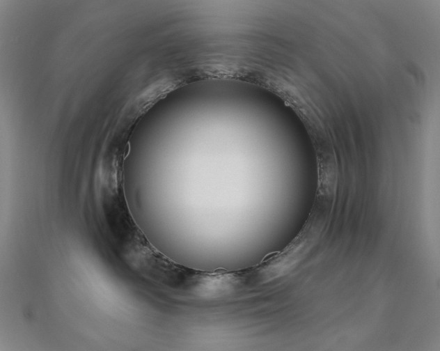 X0000110700334200906121339