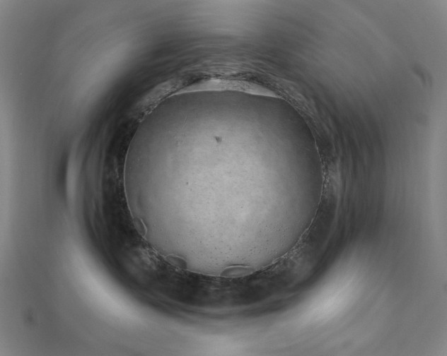X0000110700335200906121339
