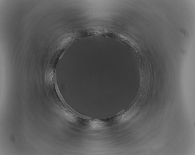X0000110700336200906121339