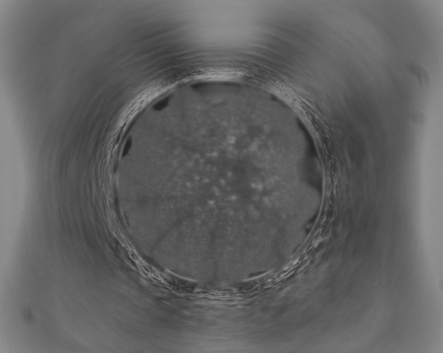 X0000110700337200906121338