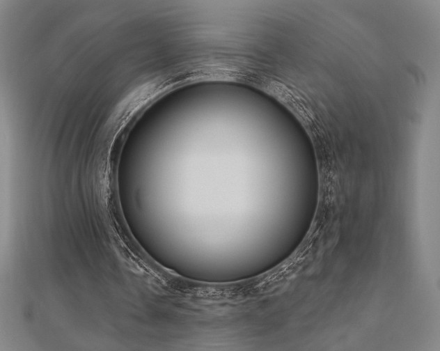 X0000110700338200906121338