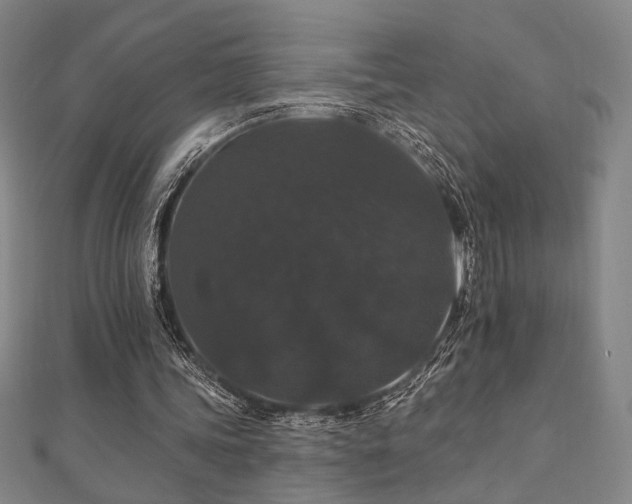 X0000110700339200906121338