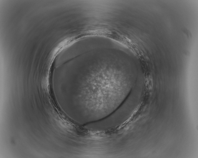X0000110700340200906121338