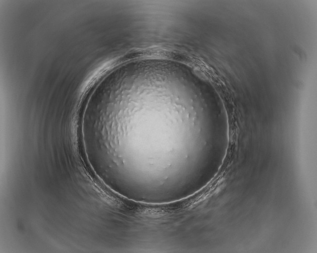 X0000110700341200906121338