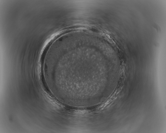X0000110700342200906121338