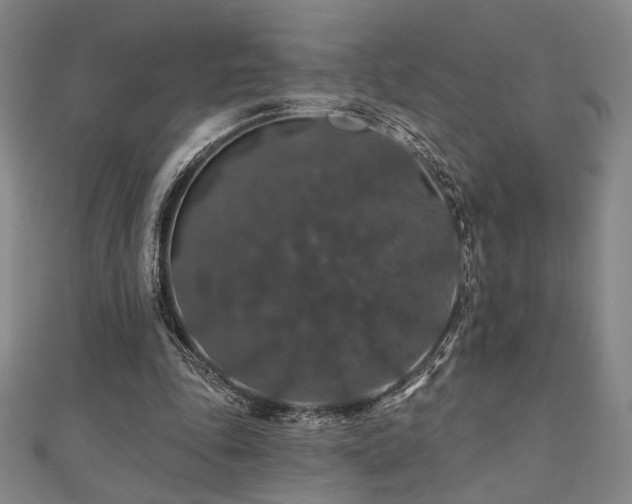 X0000110700343200906121338