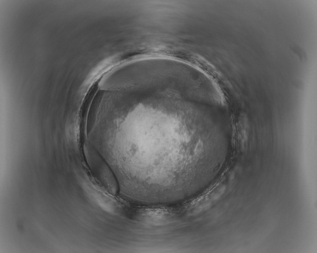 X0000110700344200906121338