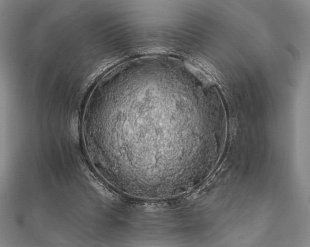 X0000110700345200906121338