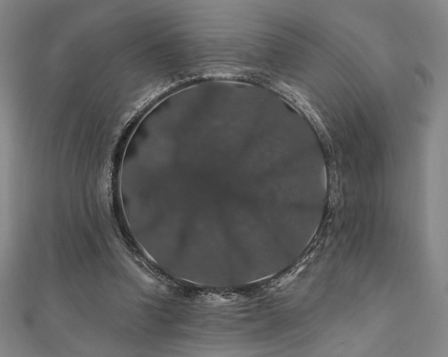 X0000110700346200906121338