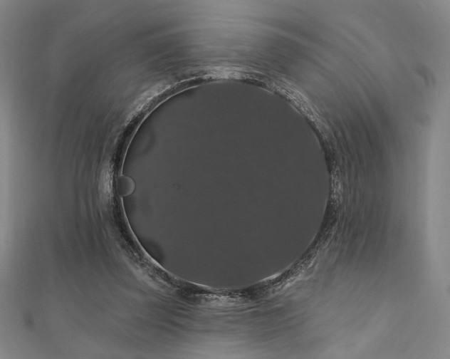 X0000110700347200906121338