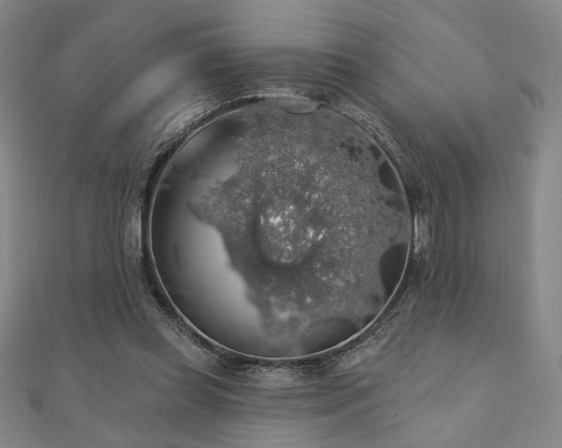 X0000110700349200906121338