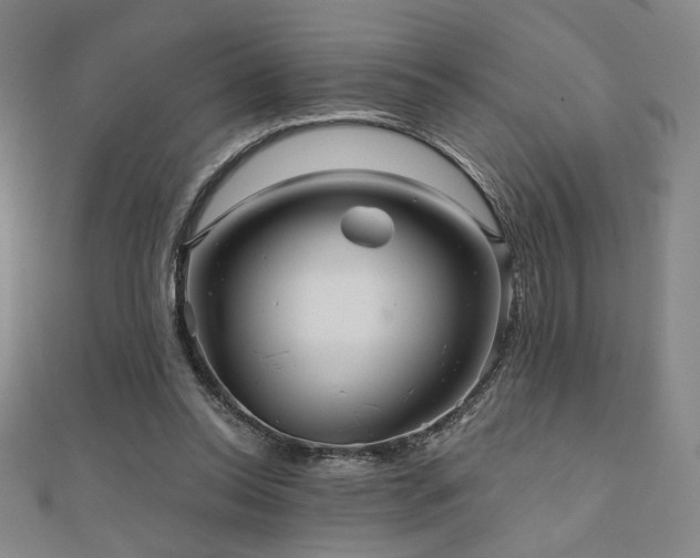 X0000110700350200906121338