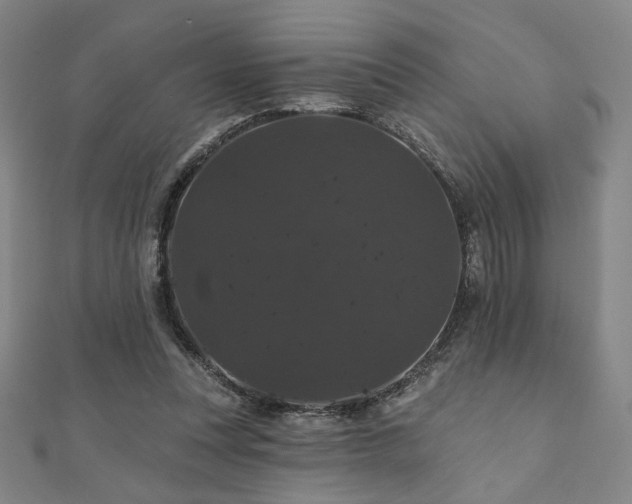 X0000110700351200906121338