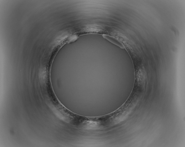 X0000110700352200906121338