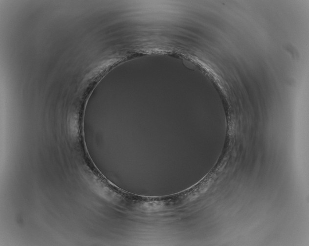 X0000110700353200906121338