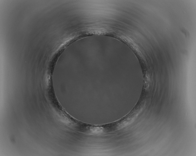 X0000110700355200906121338